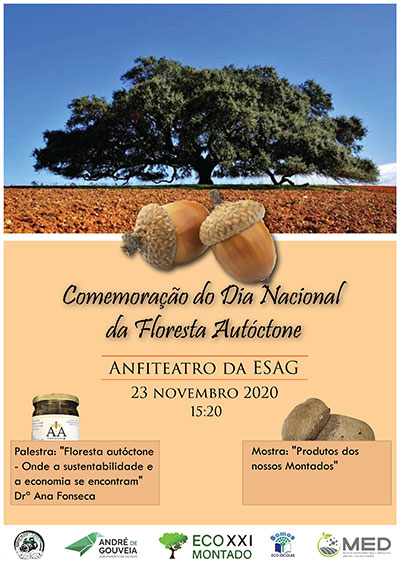 Cartaz web
