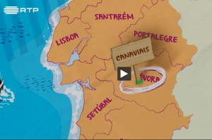 Movimento Gentil - Desafio Escolas -  RTP -  Escola B&aacute;sica e Jardim de Inf&acirc;ncia dos Canaviais